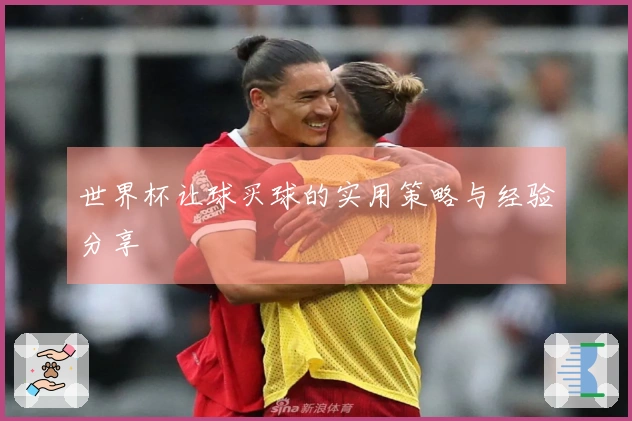 世界杯让球买球的实用策略与经验分享