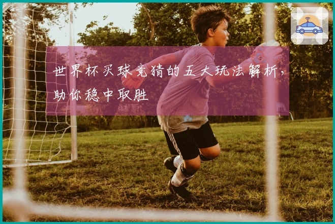 世界杯买球竞猜的五大玩法解析，助你稳中取胜