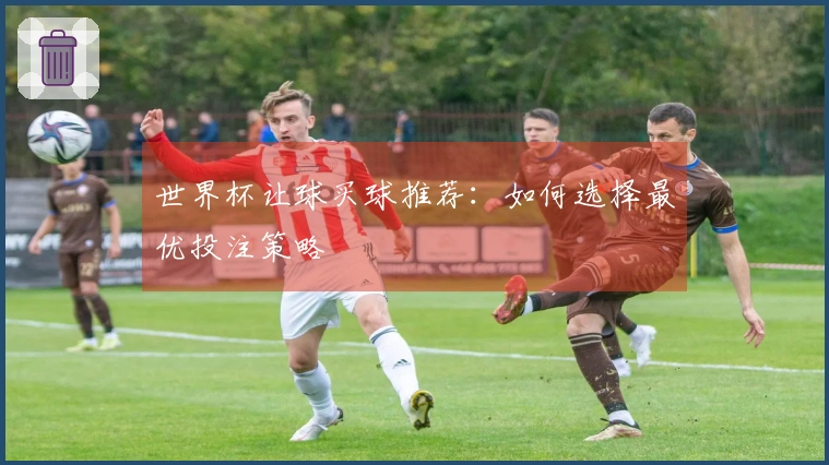 世界杯让球买球推荐：如何选择最优投注策略