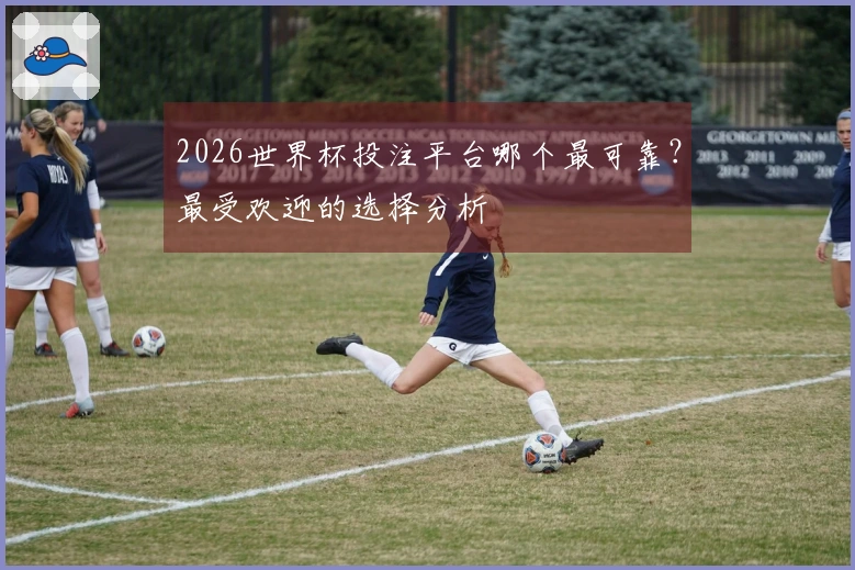2026世界杯投注平台哪个最可靠？最受欢迎的选择分析