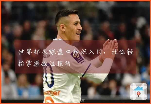 世界杯买球盘口知识入门，让你轻松掌握投注技巧