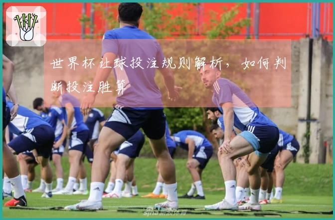 世界杯让球投注规则解析，如何判断投注胜算