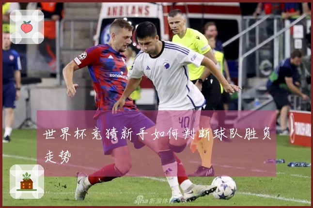 世界杯竞猜新手如何判断球队胜负走势