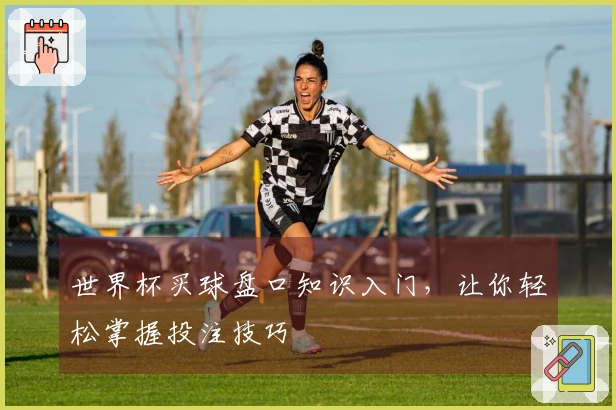 世界杯买球盘口知识入门，让你轻松掌握投注技巧