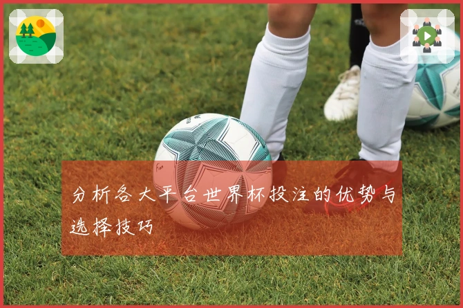 分析各大平台世界杯投注的优势与选择技巧