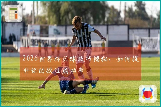 2026世界杯买球技巧揭秘，如何提升你的投注成功率