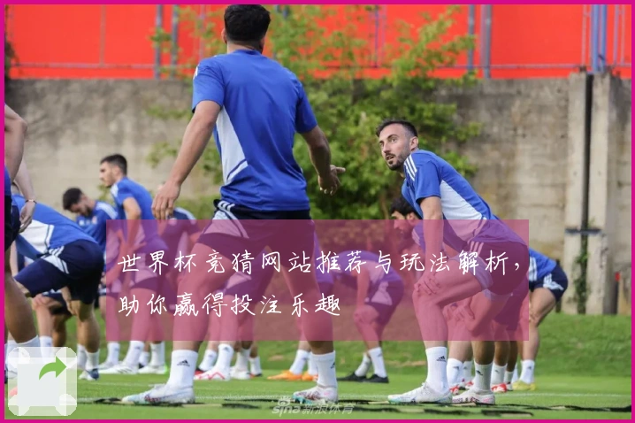 世界杯竞猜网站推荐与玩法解析，助你赢得投注乐趣
